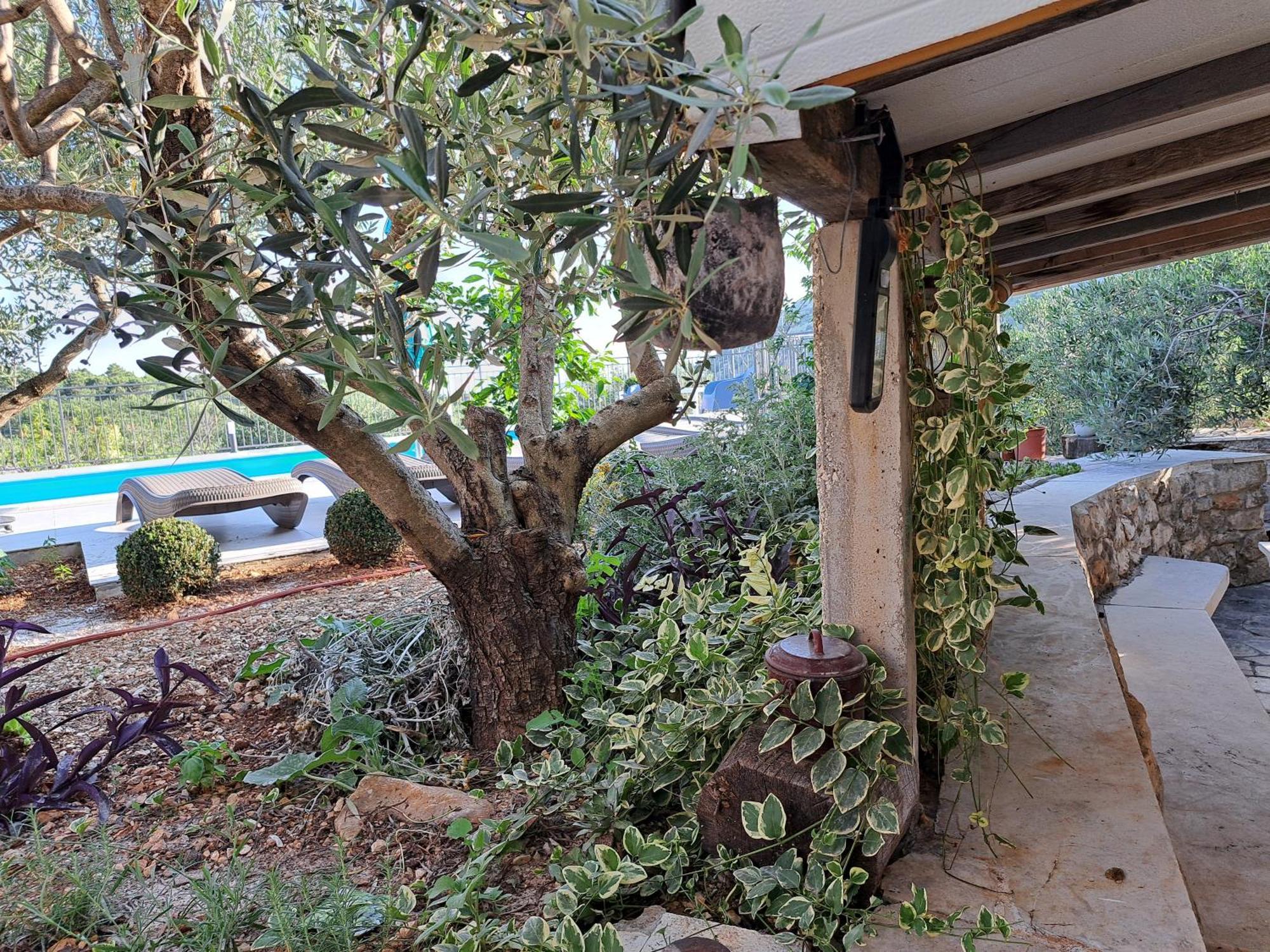Villa Casa Mia Gornji Seget Ngoại thất bức ảnh